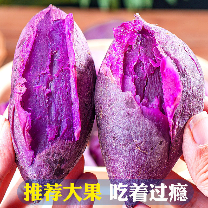 新鲜番薯烟薯板栗10斤蜜薯糖心山芋 昭福园番薯