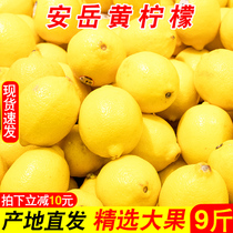 Sichuan Angyue Yellow Lemon 5 Catty Fresh Fruit Selected First-class Leather Thin Perfume Sweet Lemon When Season Full Box