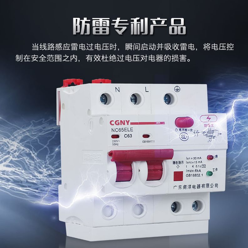 浪涌3广东防雷断路器电热水器家用南洋V6总开关漏电保护器电器220 - 图1