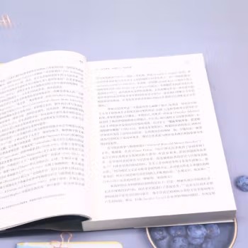 【正版】维塔社会遗弃下的疯癫与文明巴西若昂比尔郭艳娟社科总论社会学南京大学图书籍-图3