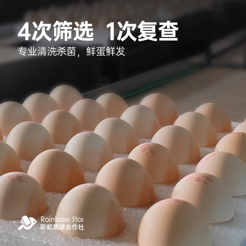 彩虹星球丨十零鸡蛋30枚/盒鲜鸡蛋礼盒装可溏心蛋宝宝鸡蛋