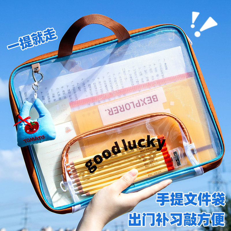 小槑同学 横版手提网纱文件袋小学生拉链式作业袋拎书专用补习手提袋补课透明A4资料书本收纳袋儿童课外袋子,淘宝优惠券,粉丝福利购,淘宝优惠卷