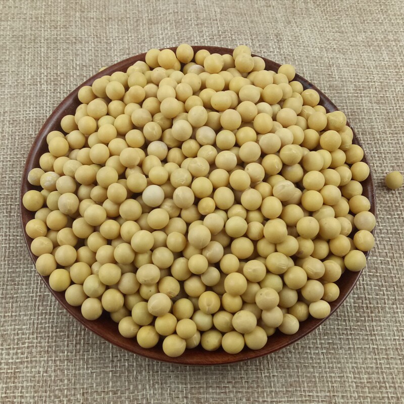 东北黄豆生豆芽打豆浆天然含硒大豆 胜格黄豆