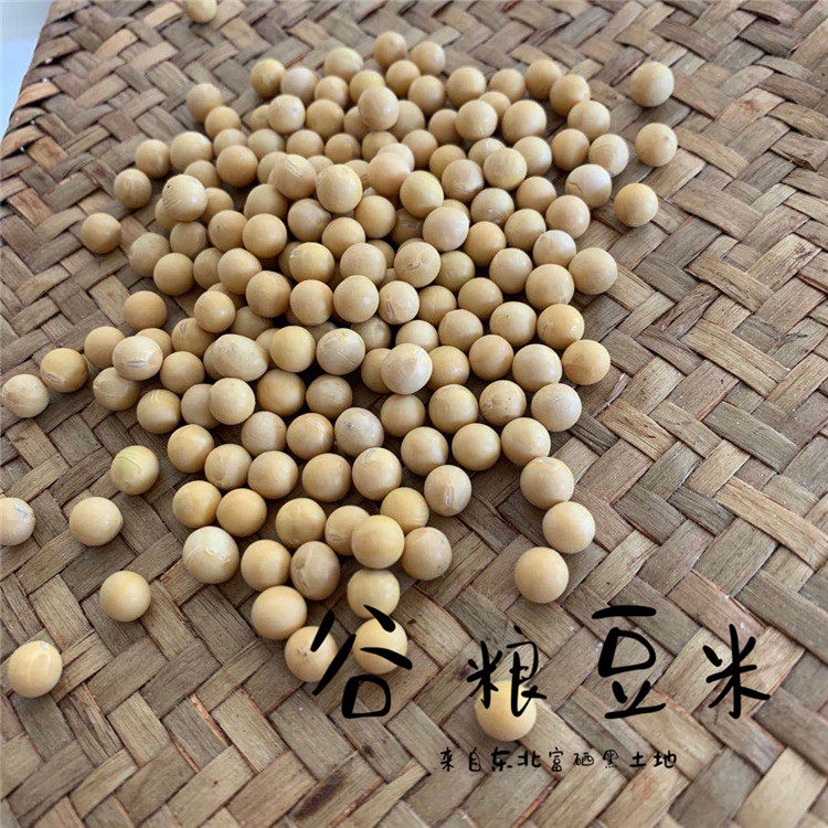 2019年新豆农家自种黄豆东北打豆浆 胜格黄豆