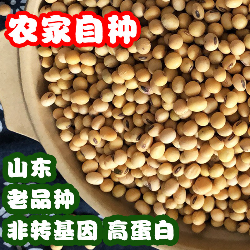 笨土黄豆农家自种老品种精选豆腐脑 胜格黄豆