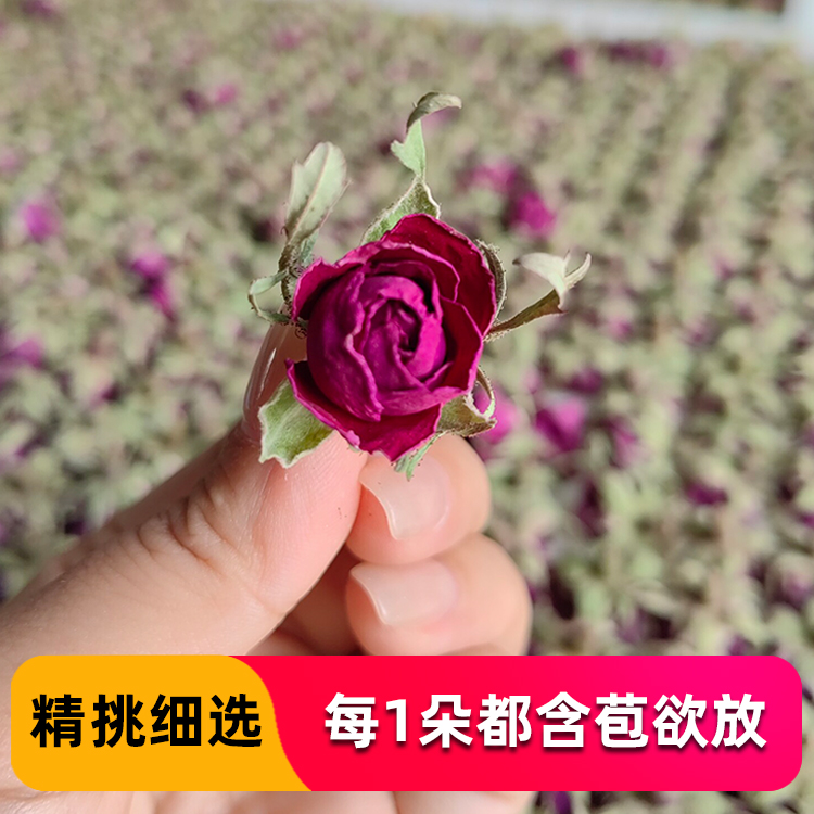 新疆和田玫瑰花茶干玫瑰大马士革特产罐装无硫熏欲放疏肝解郁特级-图1