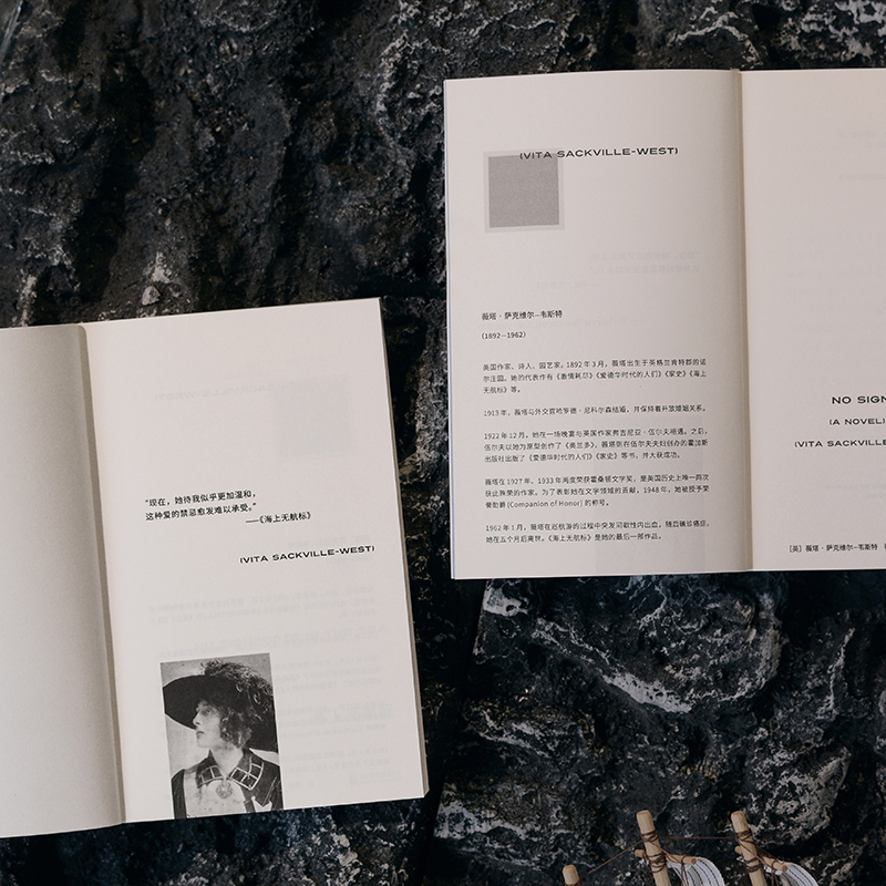 明室正版包邮 海上无航标 伍尔夫灵魂伴侣薇塔经典小说 对人生爱与创作的温柔结语 埋葬于海上的沉默之爱外国文学小说畅销书籍家史 - 图3