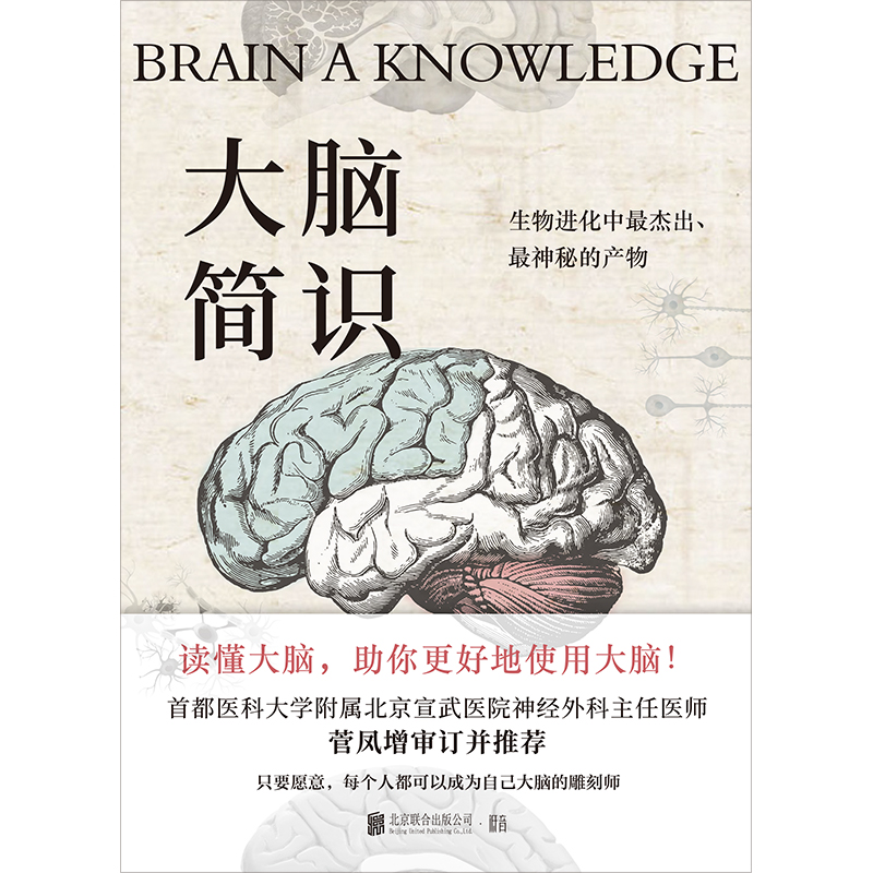 官方店包邮大脑简识 马克马格里尼以风趣通俗的方式讲解世界脑科学前沿成果读懂人类大脑的各项机能机制成人科普书籍 - 图1