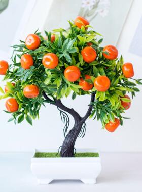 全新优质物美价廉盆景盆栽