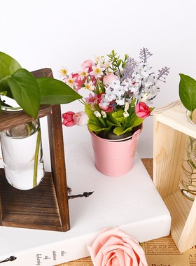 创意水培植物异形木架花瓶试管玻璃透明微景观干花器工艺品摆定制