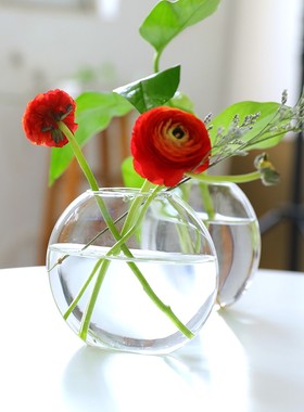 创意北欧风木艺水培绿萝摆件花瓶客厅家居装饰办公室桌面摆设定制