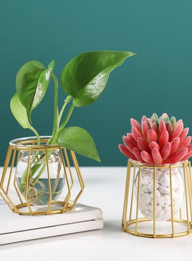 欧式ins 铁艺花架水培玻璃花瓶创意家居桌面装饰植物插花摆件定制