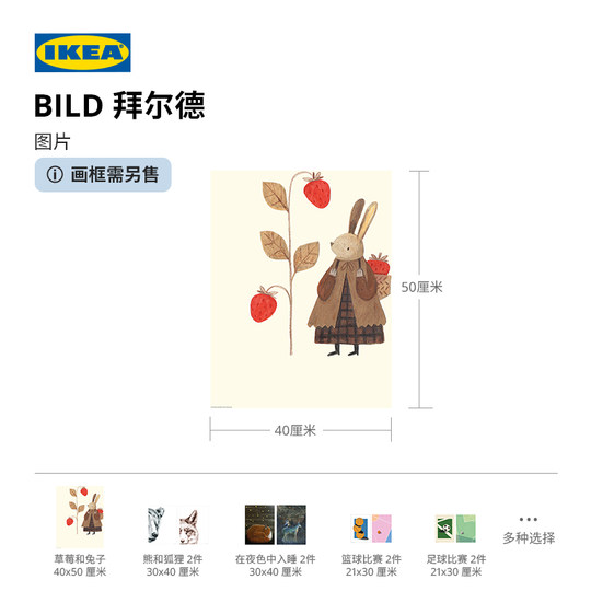 Peinture murale IKEA BILD
