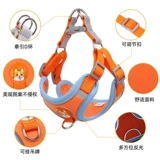 Bomei Teddy Corgi Dog Traction Tracting Topting Anti -Night Light Dog Chain маленькая средняя собака с собачьем грудью для петли