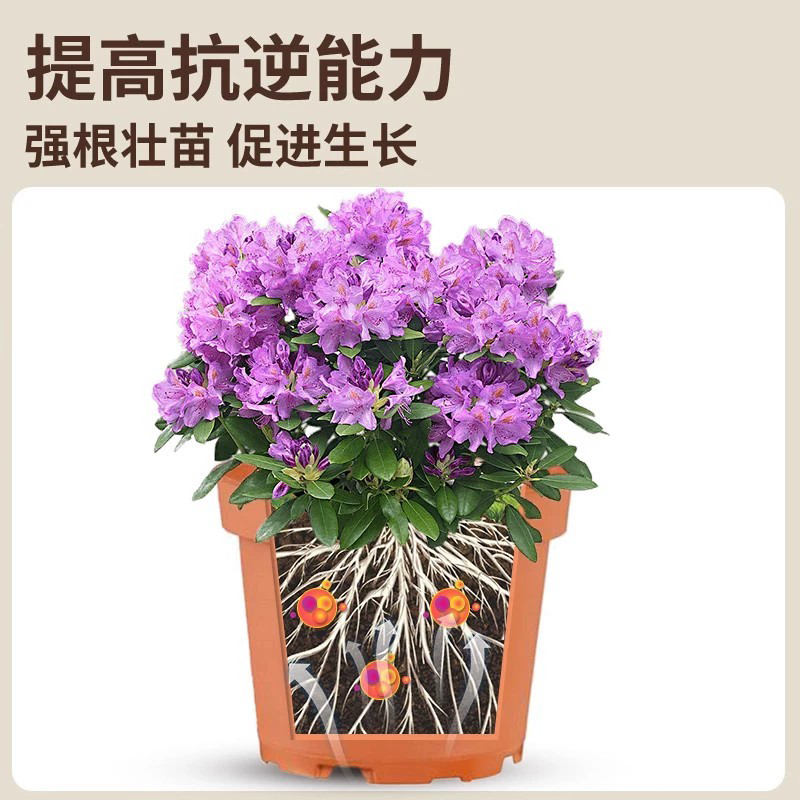 树木移栽专用生根粉快速生根壮苗扦插果树蔬菜植物通用果树专用,淘宝优惠券,粉丝福利购,淘宝优惠卷