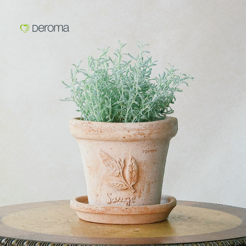 deroma帝罗马香草浮雕手工陶土盆粗陶手工桌面阳台复古北欧风多肉,淘宝优惠券,粉丝福利购,淘宝优惠卷