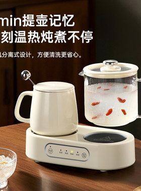 养生壶办公室小型双炉养生杯