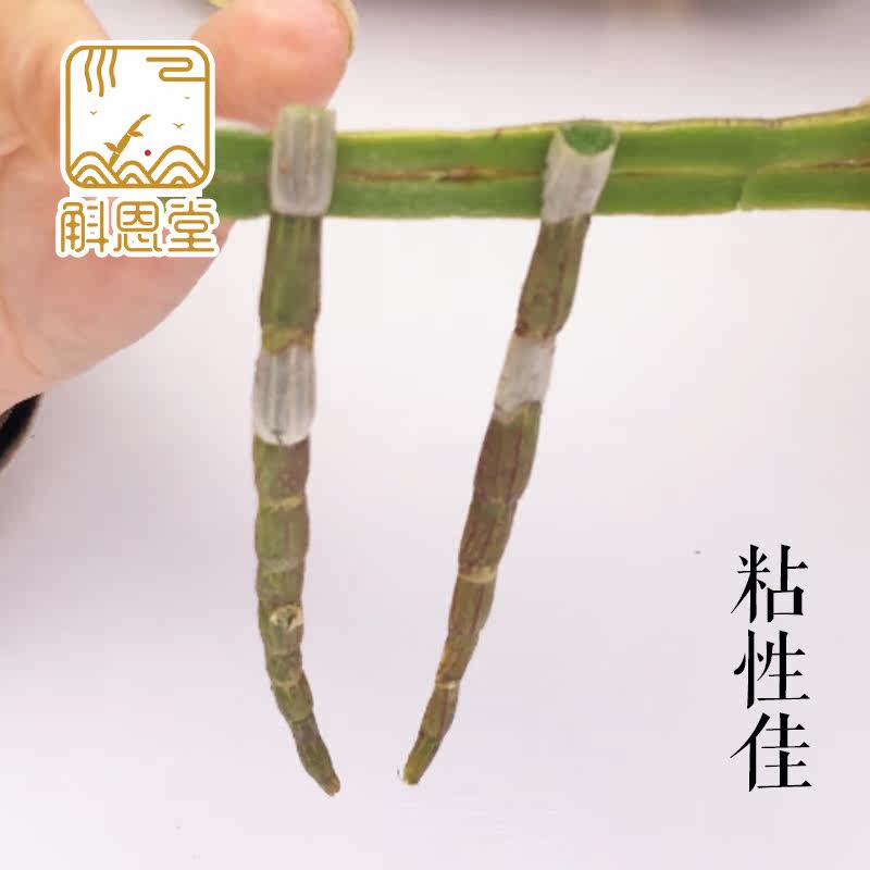  斛恩堂石斛/枫斗