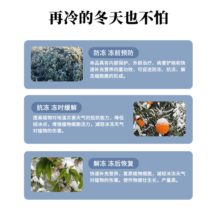 植物防冻剂防寒抗冻液保护果树大蒜白菜花卉苗木通用农作物抗冻剂,淘宝优惠券,粉丝福利购,淘宝优惠卷