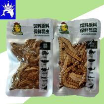 Reptile Pavias Preservation Crickets Bread Worm Dubia Cockroach Barley Worms Freeze-dried loci Pet Lizard feed