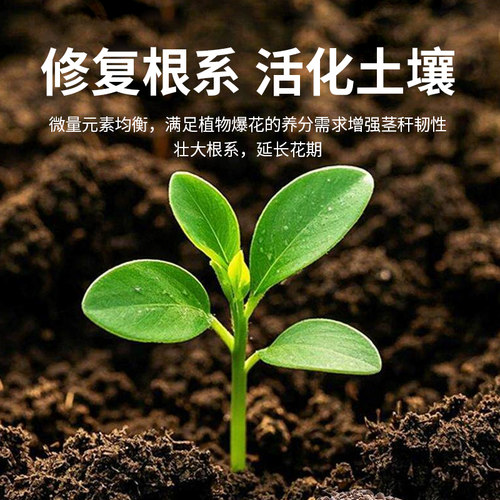 农邦主发酵芝麻饼肥豆粕肥有机肥种菜专用肥蔬菜花卉绿植多肉通用 - 图1