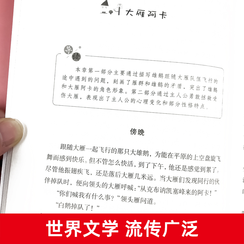 鲁滨逊漂流记尼尔斯骑鹅旅行记爱丽丝漫游奇境六年级必读课外书汤姆索亚历险记正版全套4册小学生阅读书籍快乐读书吧下册经典书目-图2