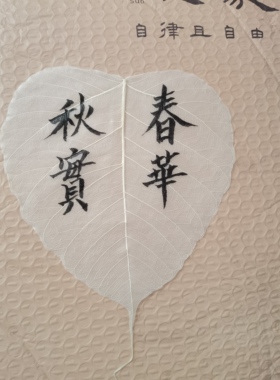 真实菩提树叶制作书法画画用