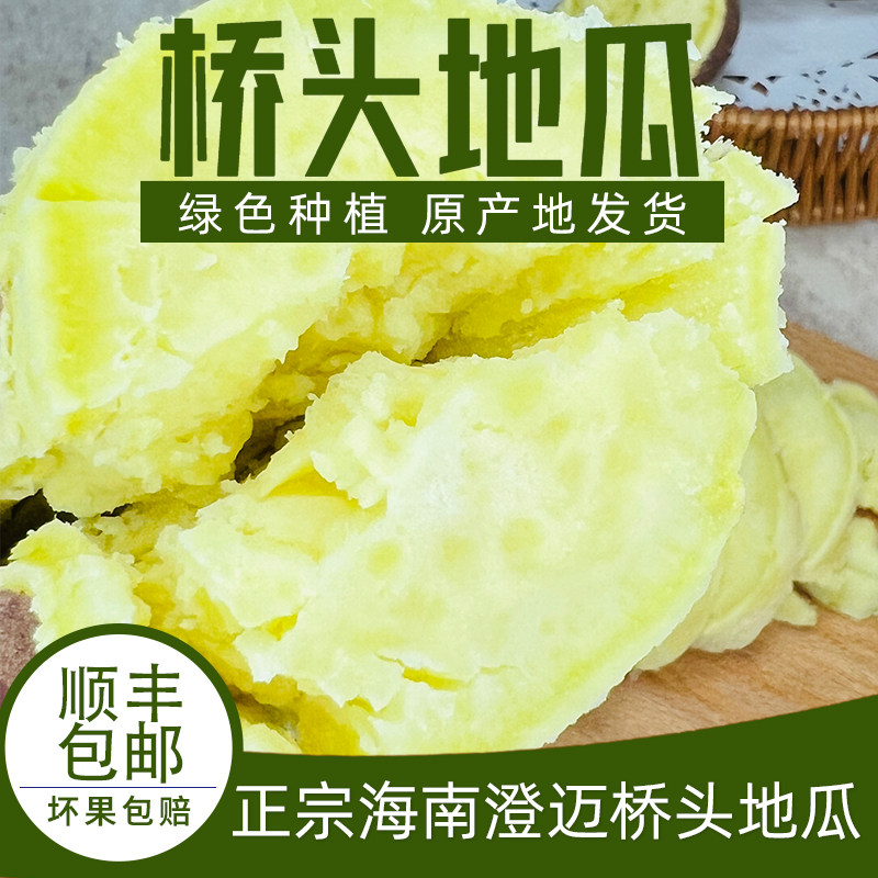 正宗海南澄迈桥头富硒新鲜板粟地瓜 澄迈桥头地瓜番薯