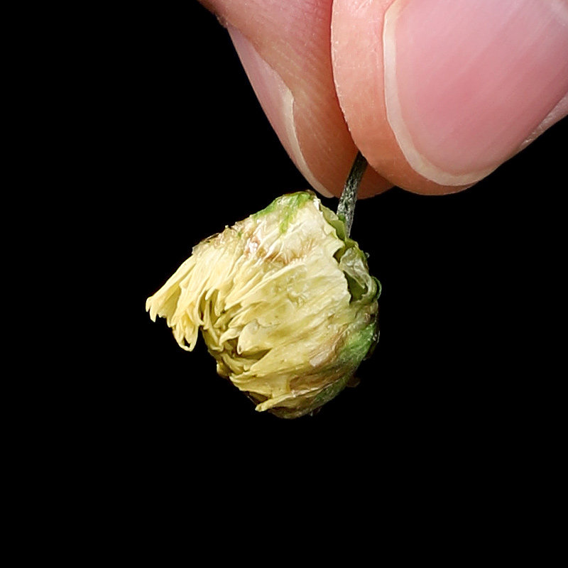 官方旗舰店玫瑰金银花蒲公英柠檬片 凡山物纪代用/花草茶