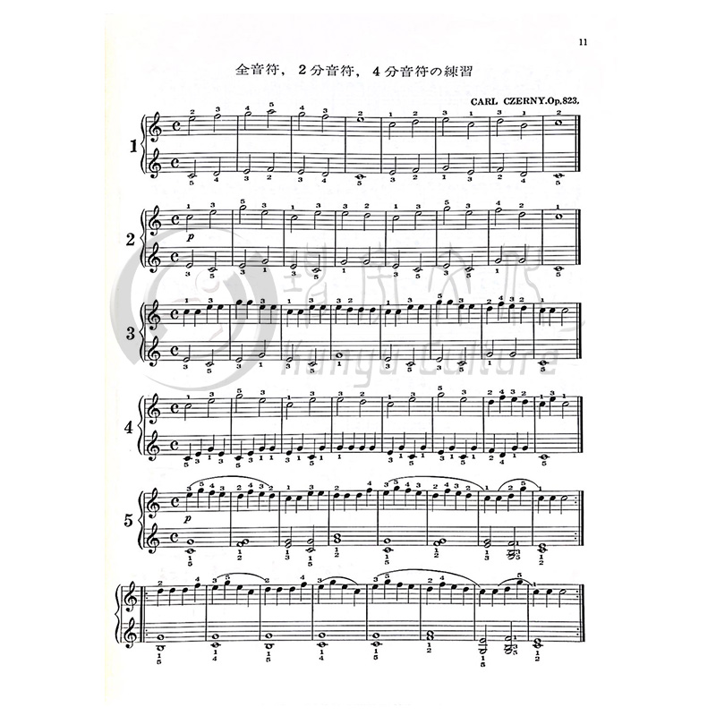 青年钢琴家练习曲 车尔尼 Op823 全音原版乐谱书 Czerny The Little Pianist ZN103010 - 图0