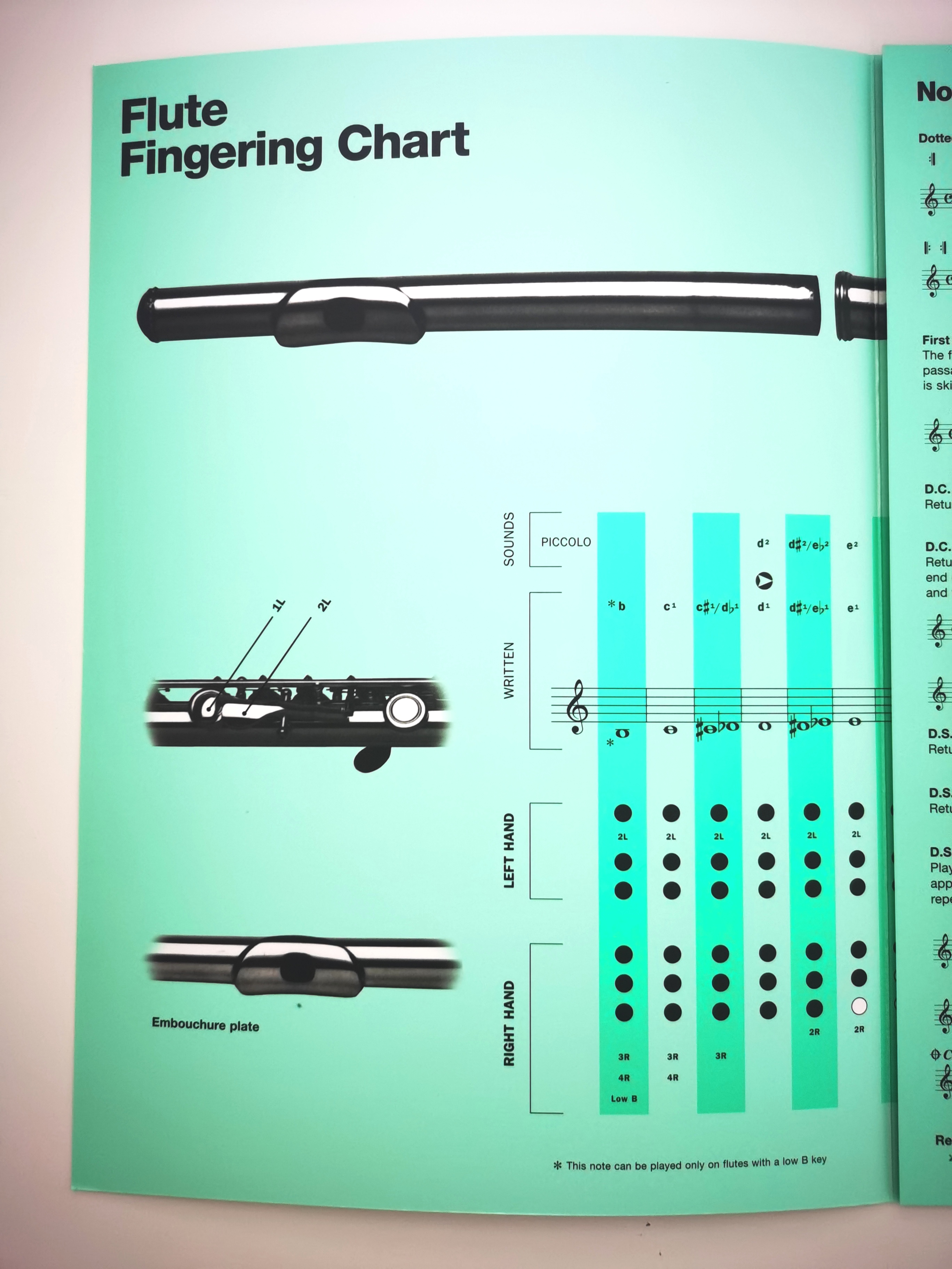 长笛指法图表布伦达长笛或短笛单开页原装进口 Brenda FLUTE FINGERING CHART For Flute and Piccolo HL14011341-图0