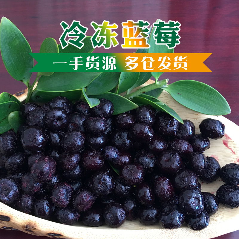 榴摩王 新鲜冷冻速冻蓝莓 果茶糕点制作适用 5包区域包邮 - 图0