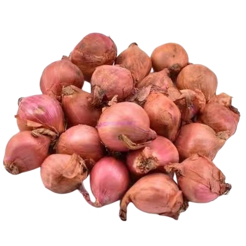 毛葱头毛葱小毛葱小号鲜嫩多汁很辣新鲜5斤鬼子葱小洋葱迷你洋葱,淘宝优惠券,粉丝福利购,淘宝优惠卷