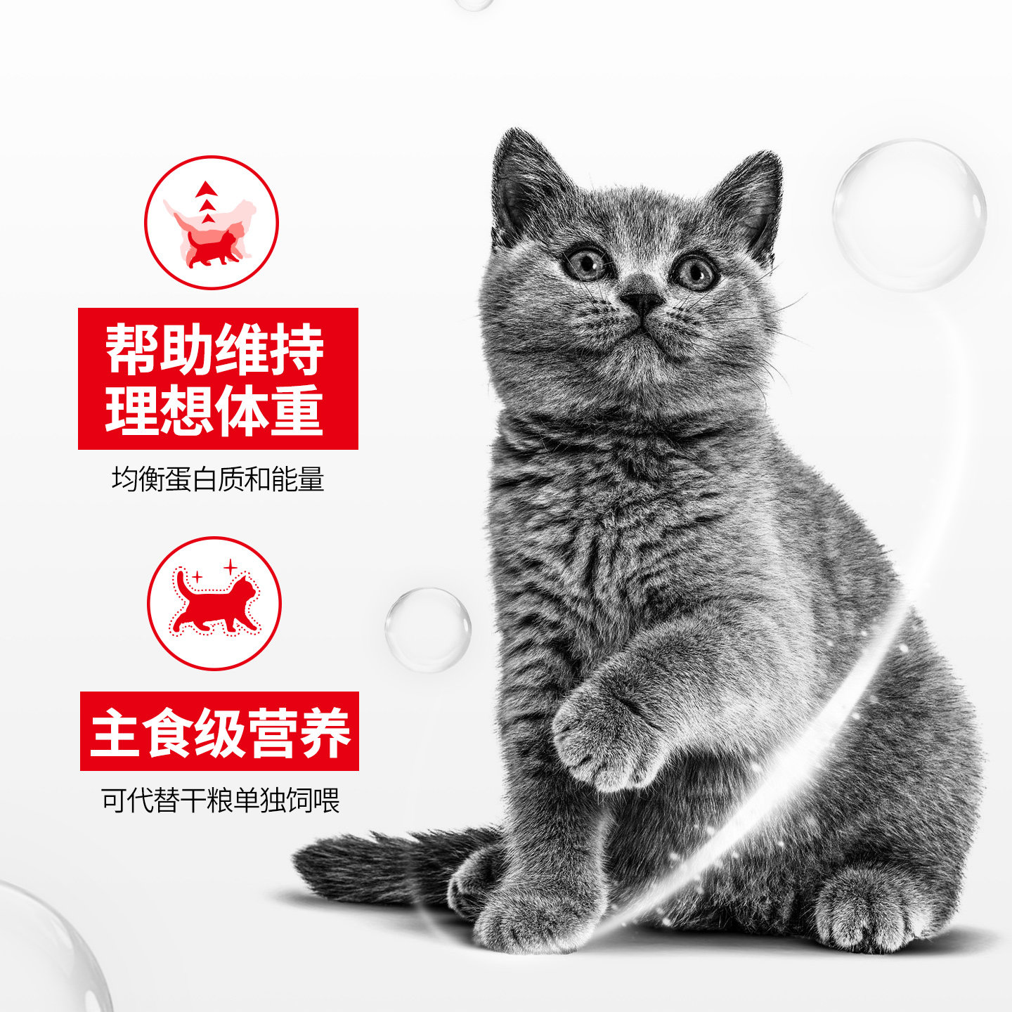皇家进口奶糕罐头慕斯罐头主食罐幼猫奶糕猫粮猫咪零食奶罐猫湿粮