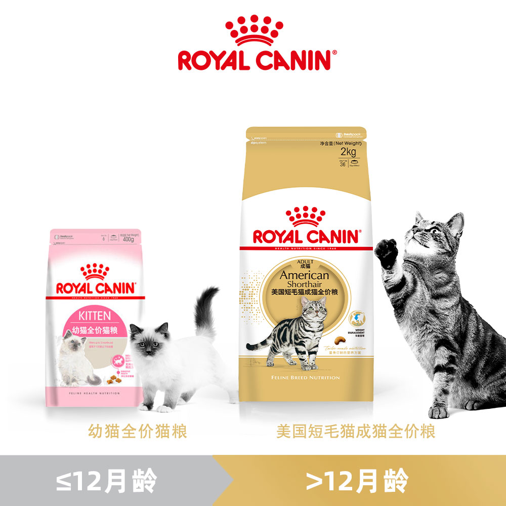 皇家ASA31 美短成猫猫粮食品2kg宠物营养猫咪猫粮美国短毛猫猫粮