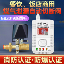 Gas Leakage Alarm Coal Gas Tank Safety Valve Alarm Gas Leak Automatic Alarm Device Cut Off Valve