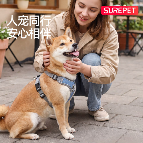 狗狗牵引绳胸背带狗胸背防爆冲狗链中小型犬巴哥狗背心式狗绳项圈 - 图1