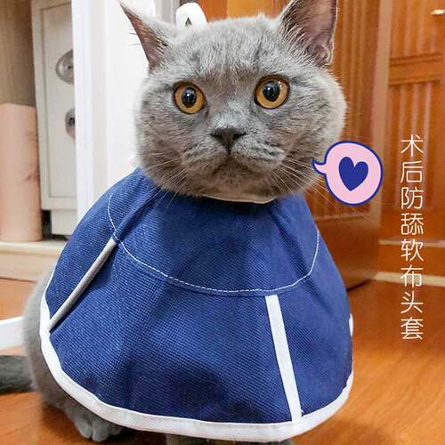 宠物猫咪项圈软布公母猫咪医绝育防舔咬无纺布伊丽莎白圈耻辱头套 - 图0