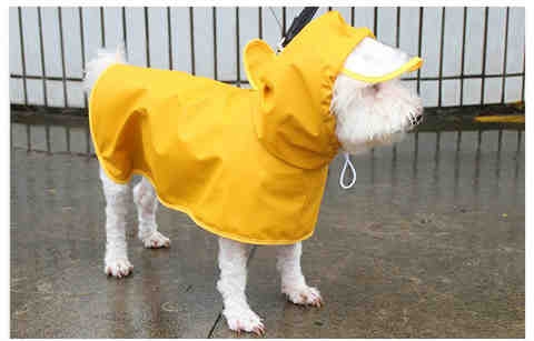 狗狗下雨神器小狗雨衣宠物雨披全包护肚泰迪柴犬柯基专用四脚防c7