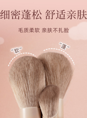 LEUNG专业软毛化妆刷套刷12支
