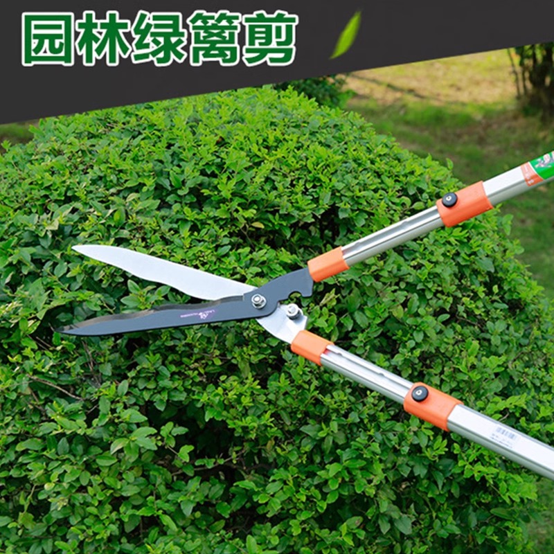 园林绿化修枝剪园艺大剪刀花枝剪果树粗枝草坪剪家用工具绿篱剪刀