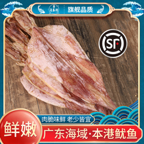 Squid Dry New Tan Local Shanwei Chia Seeds Light Dry Yu Fish Special Produce Grade Big Squid 500g Guangdong Seafood Dry Goods