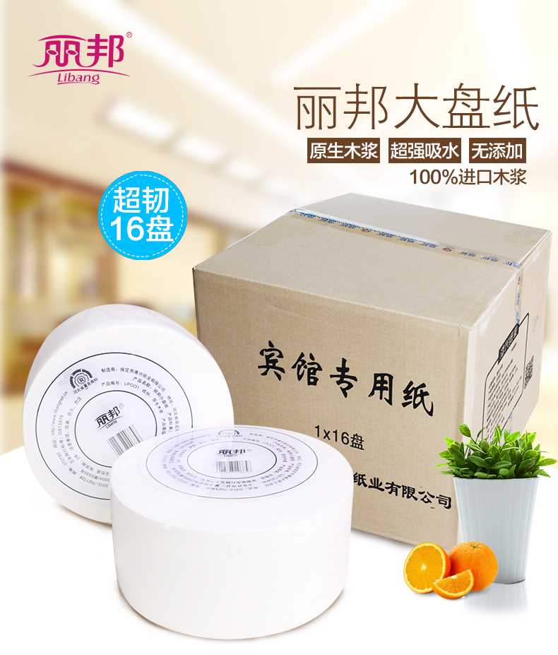 丽邦 卫生纸大盘纸整箱厕纸卷纸 卷筒纸700g/盘*6盘组合纸巾 - 图2