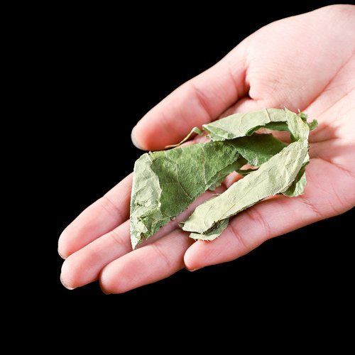 淫羊藿中药材泡羊淫藿茶粉正品官方旗舰店泡水喝非野生三枝九叶草 - 图0