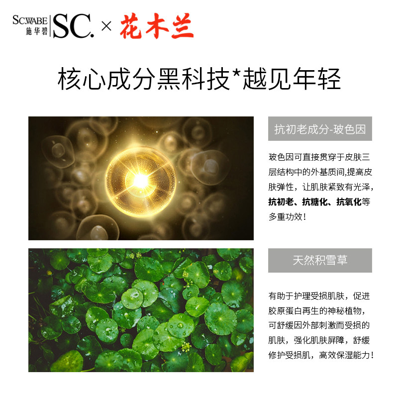 施华碧补水提亮细致毛孔 施华碧彩妆套装