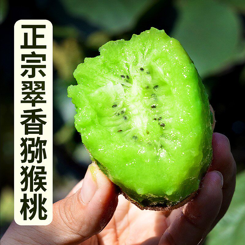 陕西周至翠香新鲜纯甜绿心猕猴桃 脆誉甜奇异果/猕猴桃