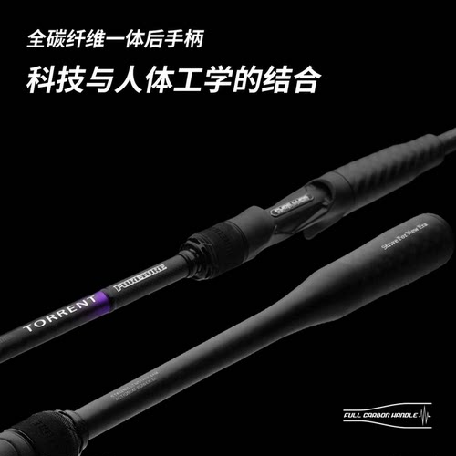 纯路紫渊/TT26款远投路亚竿翘嘴鱤鱼海钓岸投鲅鱼鲈鱼路亚竿快调 - 图2