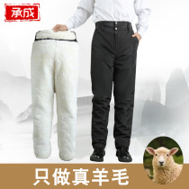 Chengcheng winter plus thick warm Sheep leather pants genuine leather Garfertilizer with elderly wool cotton pants fur integrated male and female