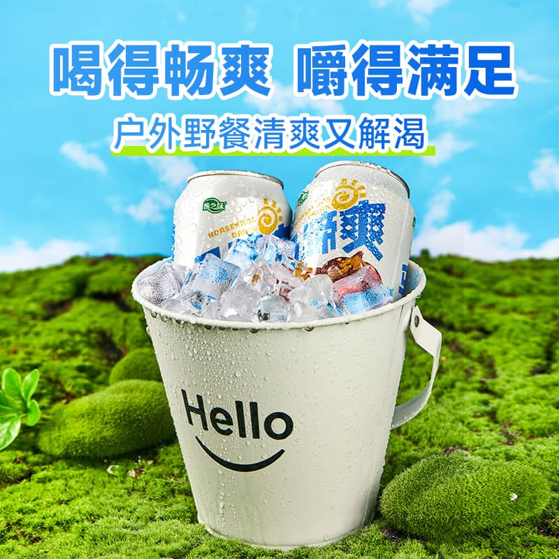 康之味马蹄爽荸荠果汁果肉果粒水果饮料清润解腻310ML*24瓶