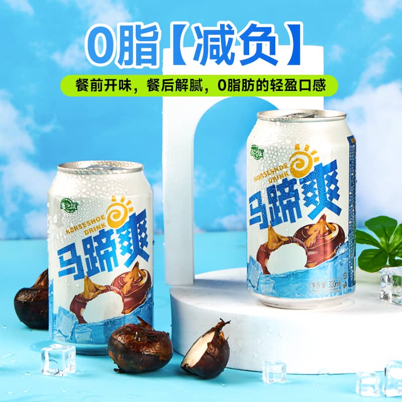 康之味马蹄爽荸荠果汁果肉果粒水果饮料清润解腻310ML*24瓶